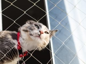 Empresa especializada em Redes de segurança em Brasília