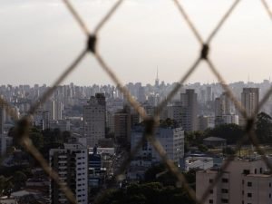 Redes de segurança para Gatos em Brasília