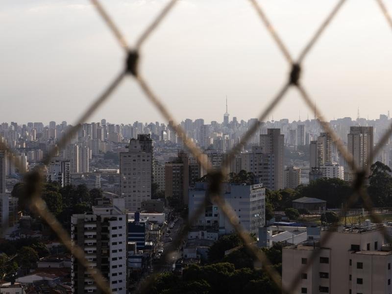 Redes de segurança para Gatos em Brasília