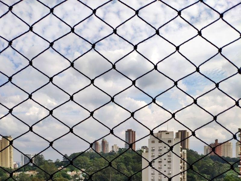 Rede de Proteção Brasília