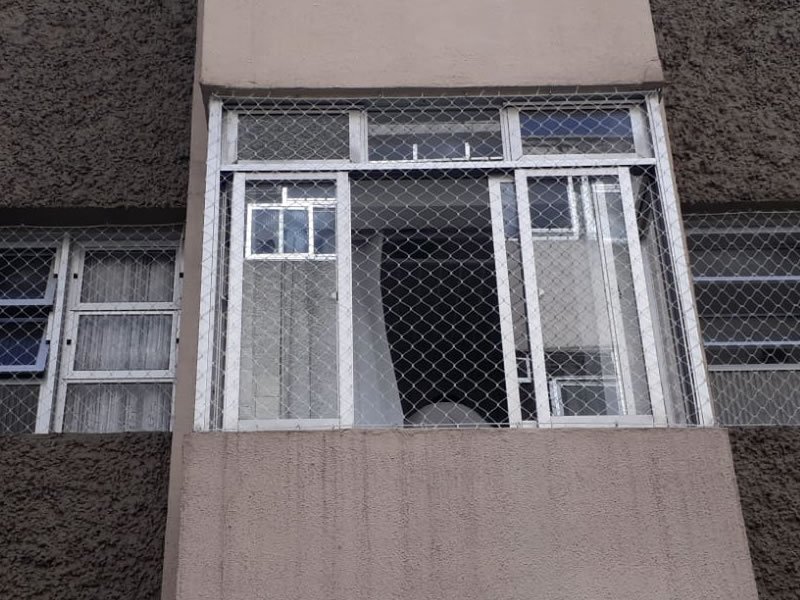 Rede de Proteção Brasília